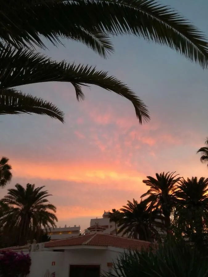 5 Min Walk From Yumbo 216 Apartment Playa del Ingles  0*, Playa del Ingles (Gran Canaria) Spain